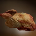 Two Lifelike Reptile Models Displaying Detailed Skin Patterns On Black Surface