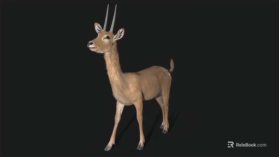 Realistic Standing Antelope With Long Horns And Brown Coat In Natural Pose 3d model 