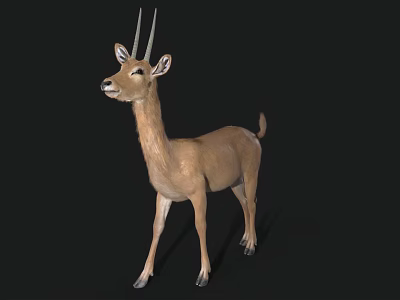 Realistic Standing Antelope With Long Horns And Brown Coat In Natural Pose 3d model