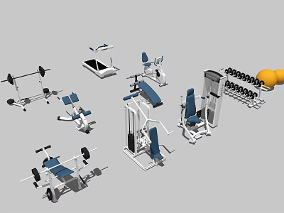 Complete Sports Equipment Collection Featuring Dumbbells Barbells Exercise Benches Treadmills And Weight Machines 3d model