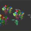 Colorful Flowering Plants With Green Leaves And Reflections On Dark Background