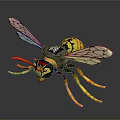 Wasp 3D Model With Detailed Yellow Black Body Transparent Wings Orange Legs Red Yellow Head