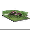 Beautiful Garden Landscape With Trimmed Green Hedge Lush Lawn And Blooming Pink Peonies
