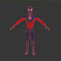 Spider Man Costume 3D Model With Blue Red Suit And Chest Spider Logo