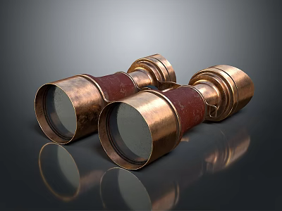 Commercial Binoculars Copper Construction Leather Grip Professional Grade High Quality Optics 3d model
