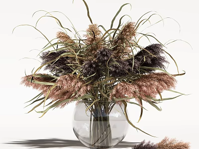 Clear Glass Vase With Dried Pampas Grass Brown Purple Flowers For Minimalist Interior Decor 3d model
