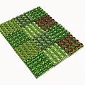 Assorted Vegetables Arranged in Square Grid with Green and Red Leafy Varieties