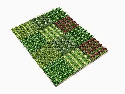 Assorted Vegetables Arranged in Square Grid with Green and Red Leafy Varieties 3d model