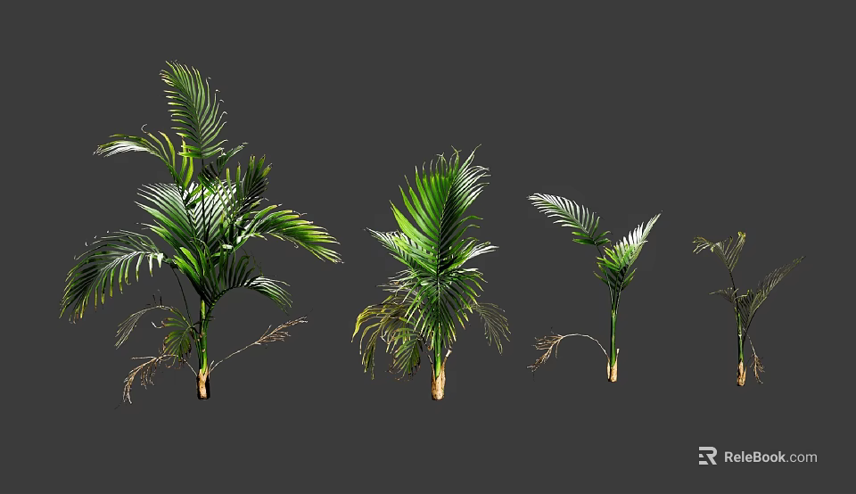 Various Green Tropical Plants With Lush Leaves And Different Growth Sizes 3d model 