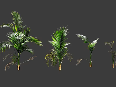 Various Green Tropical Plants With Lush Leaves And Different Growth Sizes 3d model
