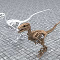 Two Dinosaur Skeletons White and Brown Displayed on Gray Brick Floor