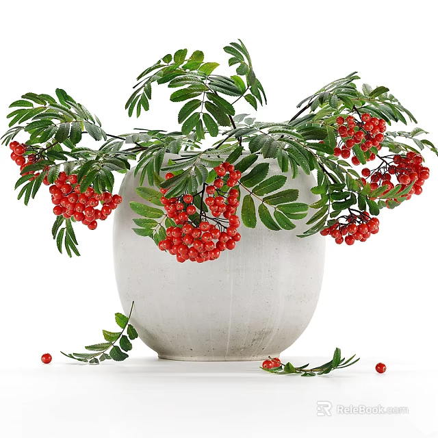 Natural Decorative Ornament Set With White Vase Red Berries And Green Leaves 3d model 