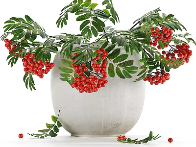 Natural Decorative Ornament Set With White Vase Red Berries And Green Leaves 3d model
