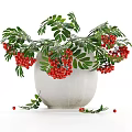 Natural Decorative Ornament Set With White Vase Red Berries And Green Leaves