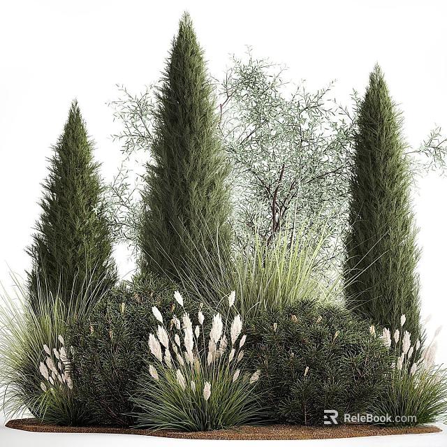 Evergreen Coniferous Shrubs Featuring Tall Stems Grasses And White Flowers 3d model 