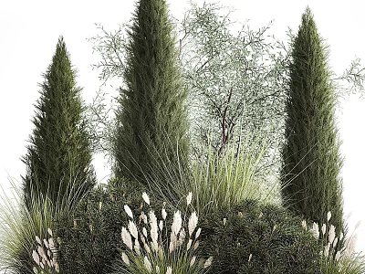 Evergreen Coniferous Shrubs Featuring Tall Stems Grasses And White Flowers 3d model