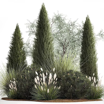 Shrub 3d models