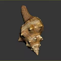 Ornate Conch Shell Sculpture With Natural Texture And Detailed Carving