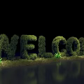 WELCOME Topiary Garden Decoration With Green Shrubs and Water Reflection in Outdoor Space