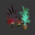 Indoor Plant Arrangement With Large Leaf And Palm Plants In Woven And Concrete Planters