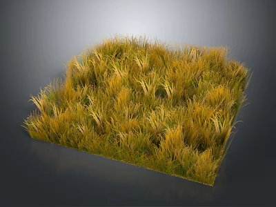 Lush Yellow And Green Grass In Square Shape Against Gray Background 3d model