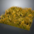 Lush Yellow And Green Grass In Square Shape Against Gray Background