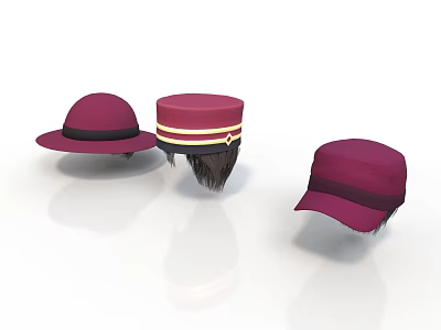 Fashionable Maroon Hats With Different Styles Striped Trim And Classic Designs 3d model