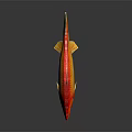 Koi Fish With Red And Yellow Vibrant Scales On Black Background Showing Shiny Reflection