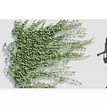 Green Vine Plants Covering Wall Blowing in Wind With Woman Silhouette Carrying Bag