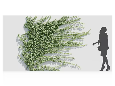 Green Vine Plants Covering Wall Blowing in Wind With Woman Silhouette Carrying Bag 3d model
