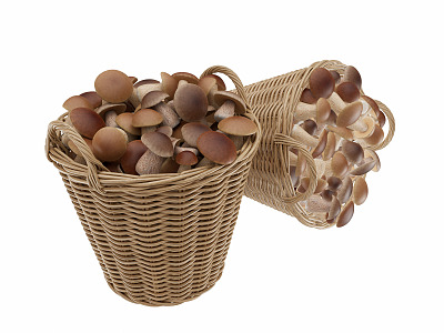 Modern mushroom crops 3d model