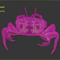 Spotted Crab With Long Antennae And Brown Green Legs On Dark Background