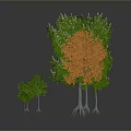 Various Types of Trees in Different Sizes With Green and Orange Foliage on White Background