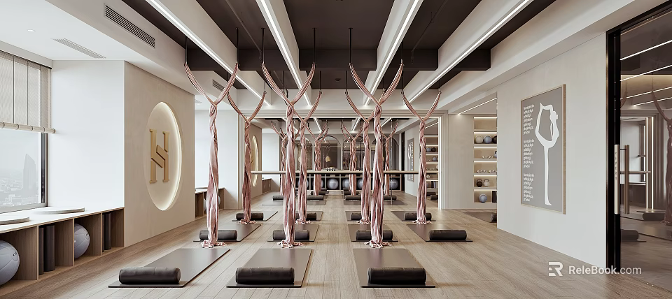 Modern Yoga Studio Interior With Mats And Aerial Yoga Equipment 3d model 