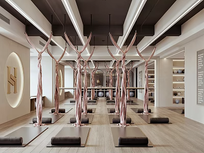 Modern Yoga Studio Interior With Mats And Aerial Yoga Equipment 3d model