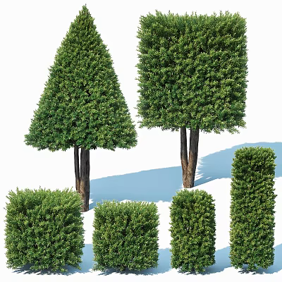 Various Well Trimmed Green Shrubs in Different Shapes for Landscaping Design 3d model