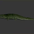 Realistic Green Crocodile 3D Model With Detailed Skin Texture And Open Mouth