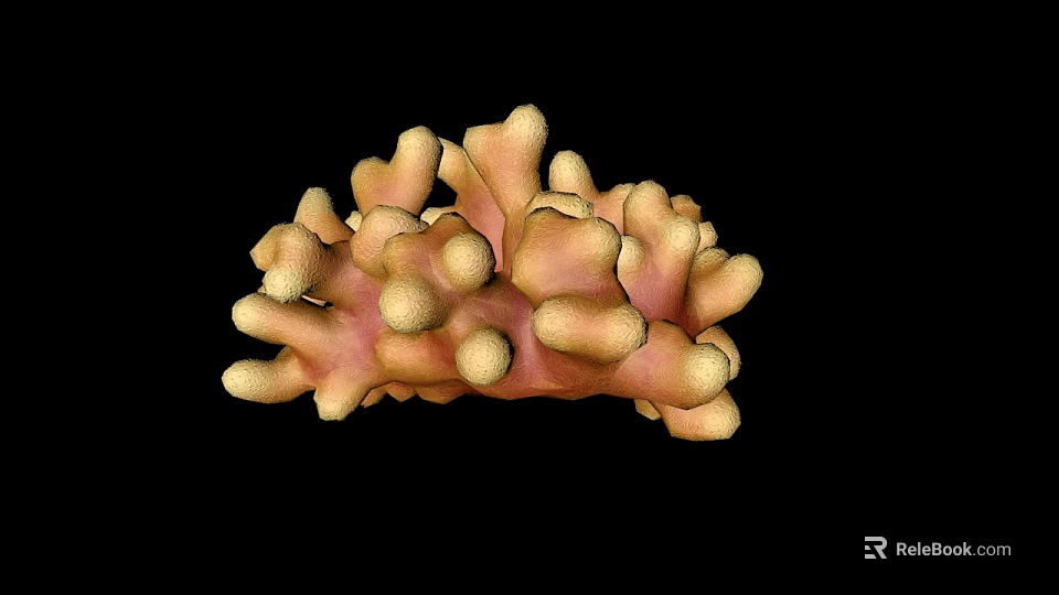 Vibrant Pink And Yellow Branching Coral In Black Background Aquatic Animal Habitat 3d model 