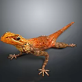 Lizard Anime Lizard Chameleon Cartoon Lizard Reptile Cold Blooded Animal Reptile Class 3d model