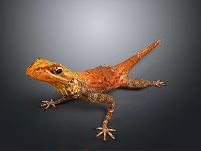 Reptile Lizard With Orange Scaled Body In Standing Posture On Gray Gradient Background 3d model