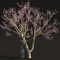 Tall Tree With Pink Blossoms And Stone Statue Standing Under 3d model