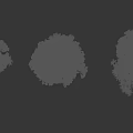 Various Arbor Tree Varieties With Human Silhouette For Size Reference 3d model