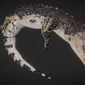 Crocodile With Open Mouth Sharp Teeth And Patterned Skin On Dark Background 3d model