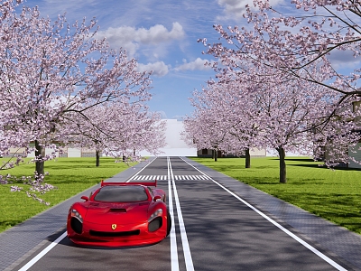 modern road municipal road landscape cherry blossom avenue peach blossom crabapple blossom plum blossom city highway zebra crossing model