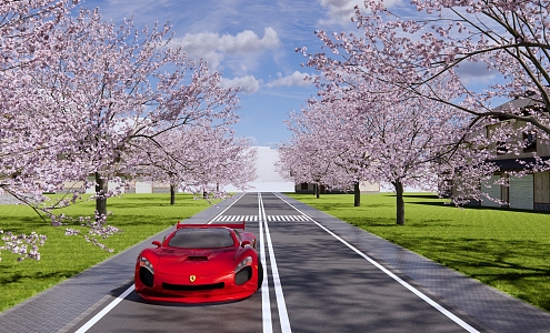 modern road municipal road landscape cherry blossom avenue peach blossom crabapple blossom plum blossom city highway zebra crossing 3d model