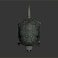 Turtle Turtle Cartoon Turtle Snapping Turtle Chickbill Turtle Reptile Cold Blooded Animal Reptile Reptile Class 3d model