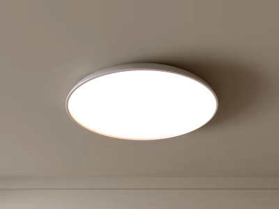 Round Modern White Ceiling Light Fixture for Home Interior Lighting 3d model
