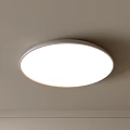 Round Modern White Ceiling Light Fixture for Home Interior Lighting 3d model