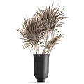Dried Flowers Arrangement in Black and Clear Vases for Home Decor with Natural Tones