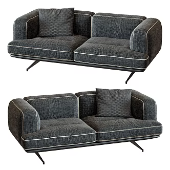 modern double sofa leisure sofa living room sofa 3d model